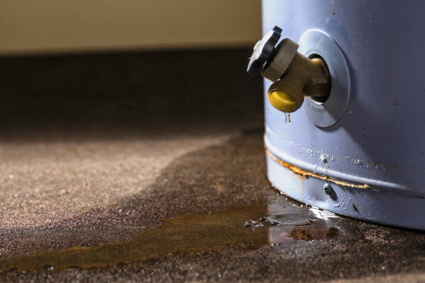 Best 24-hour water damage restoration  in Liberty, IN
