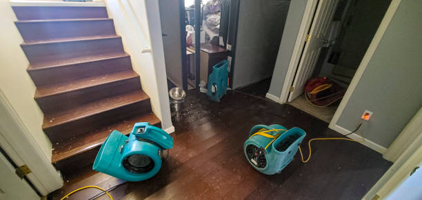 Professional Water damage restoration in IN