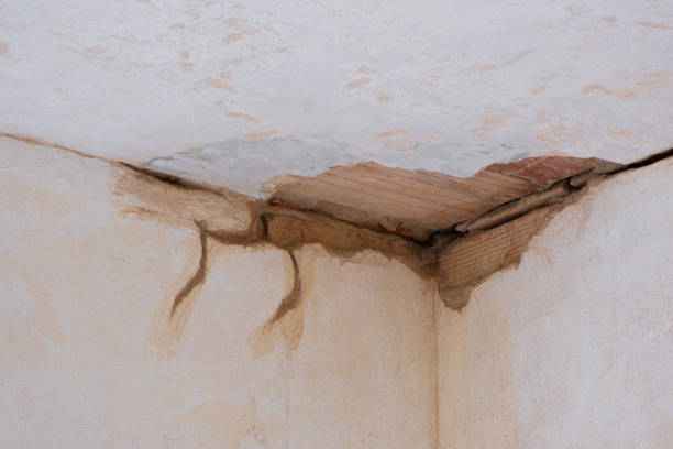 Best Fire Damage Restoration  in Liberty, IN