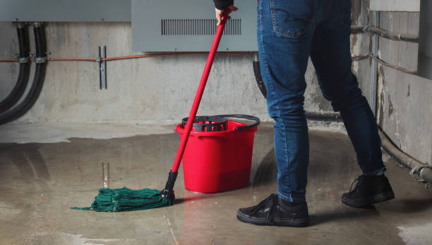 Best Mold removal after water damage  in Liberty, IN