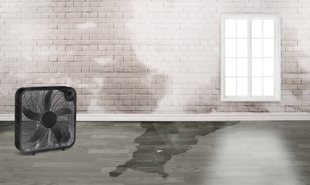Fire Damage Restoration in IN