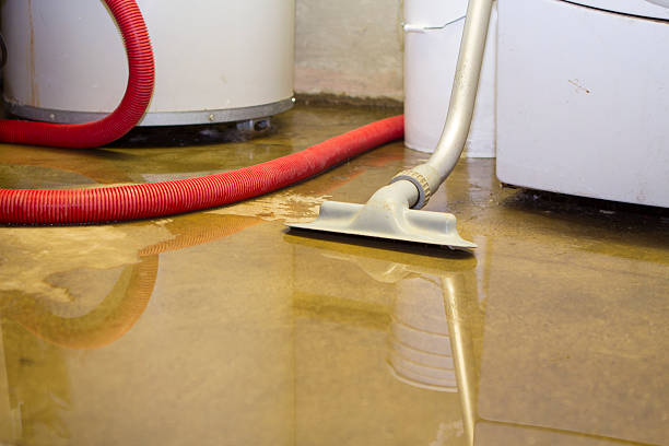 Best Water damage contractors near me  in Liberty, IN