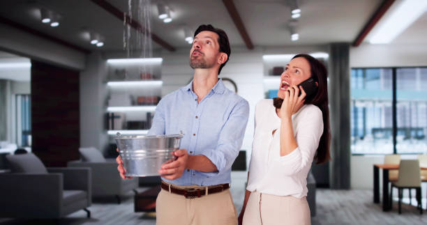 Best Local water damage restoration  in Liberty, IN